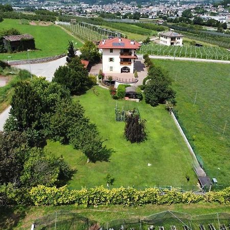 Il Gallo Pergine Valsugana Exteriör bild