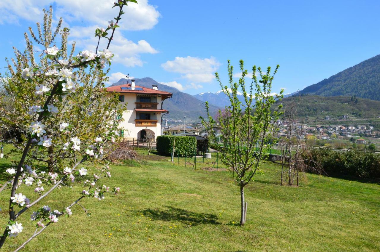 Il Gallo Pergine Valsugana Exteriör bild